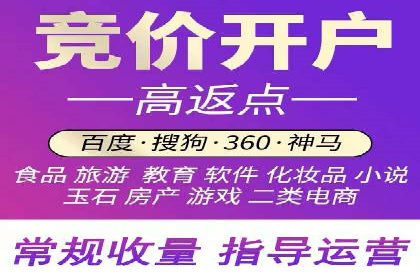 SEO策略在电商平台的成功应用案例